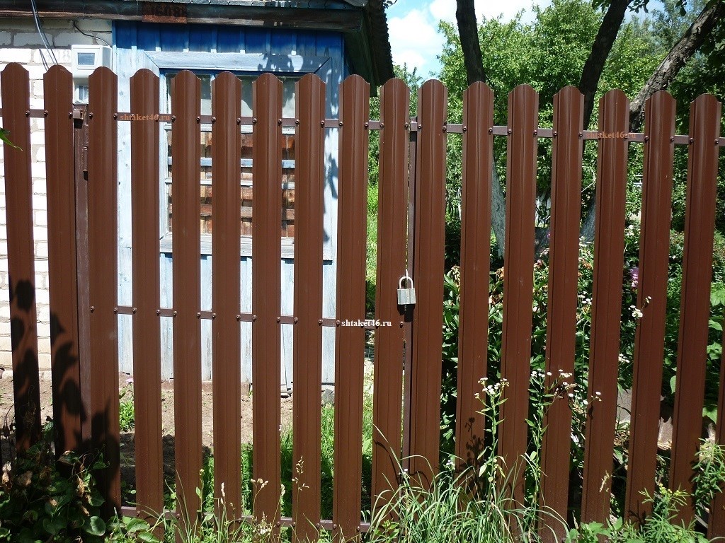 Забор из металлического штакетника в Курской области в д. Гремячка